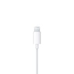 Apple Lightning Connector MWTY3AM